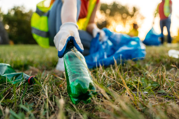 Best Yard Waste Removal  in Holland, OH